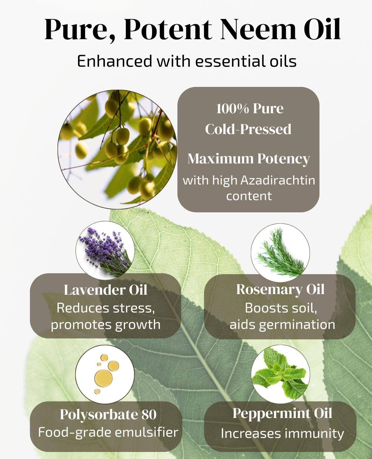 Neem Oil for Plants Refill – 30 Spray Bottles (480 fl oz) with Lavender, Peppermint & Rosemary | The Green Alcove