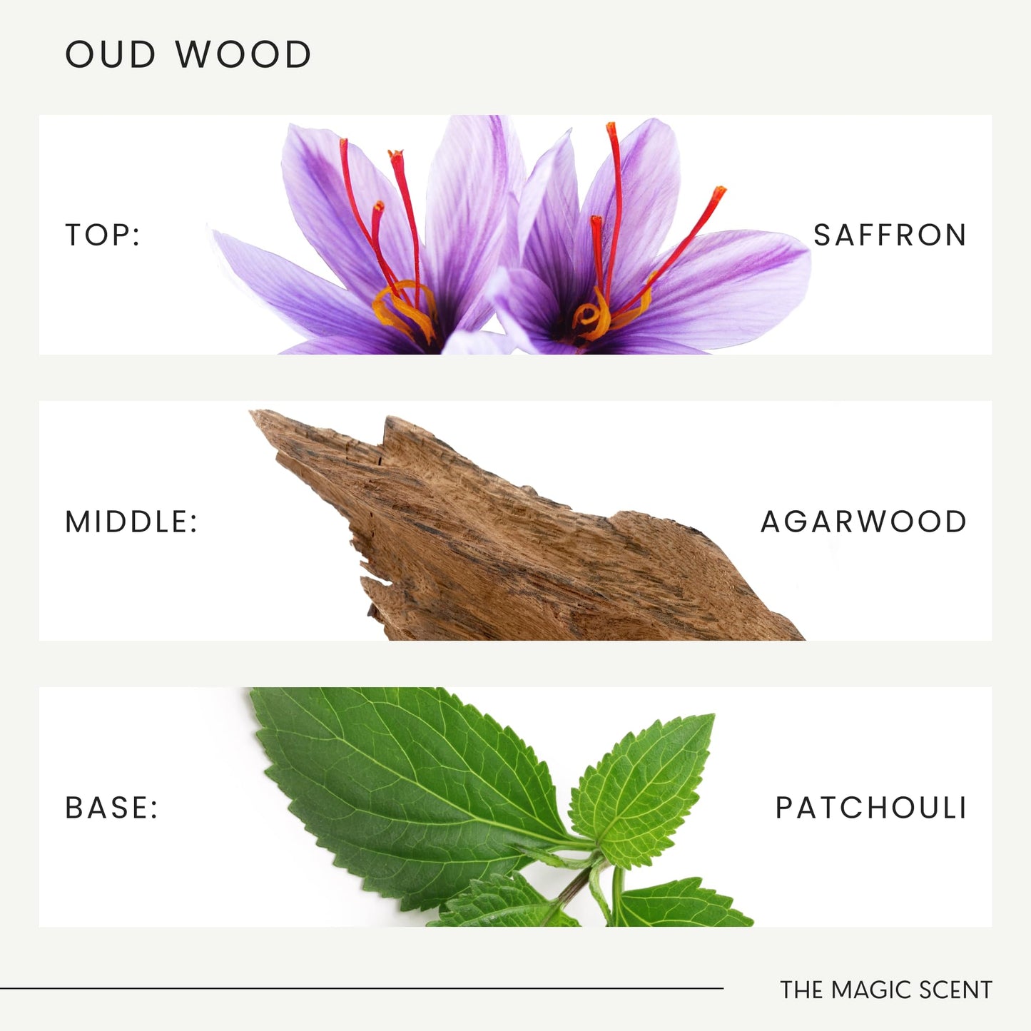 Magic Scent Oud Wood Diffuser Oil – 0.3 fl oz (10 mL)