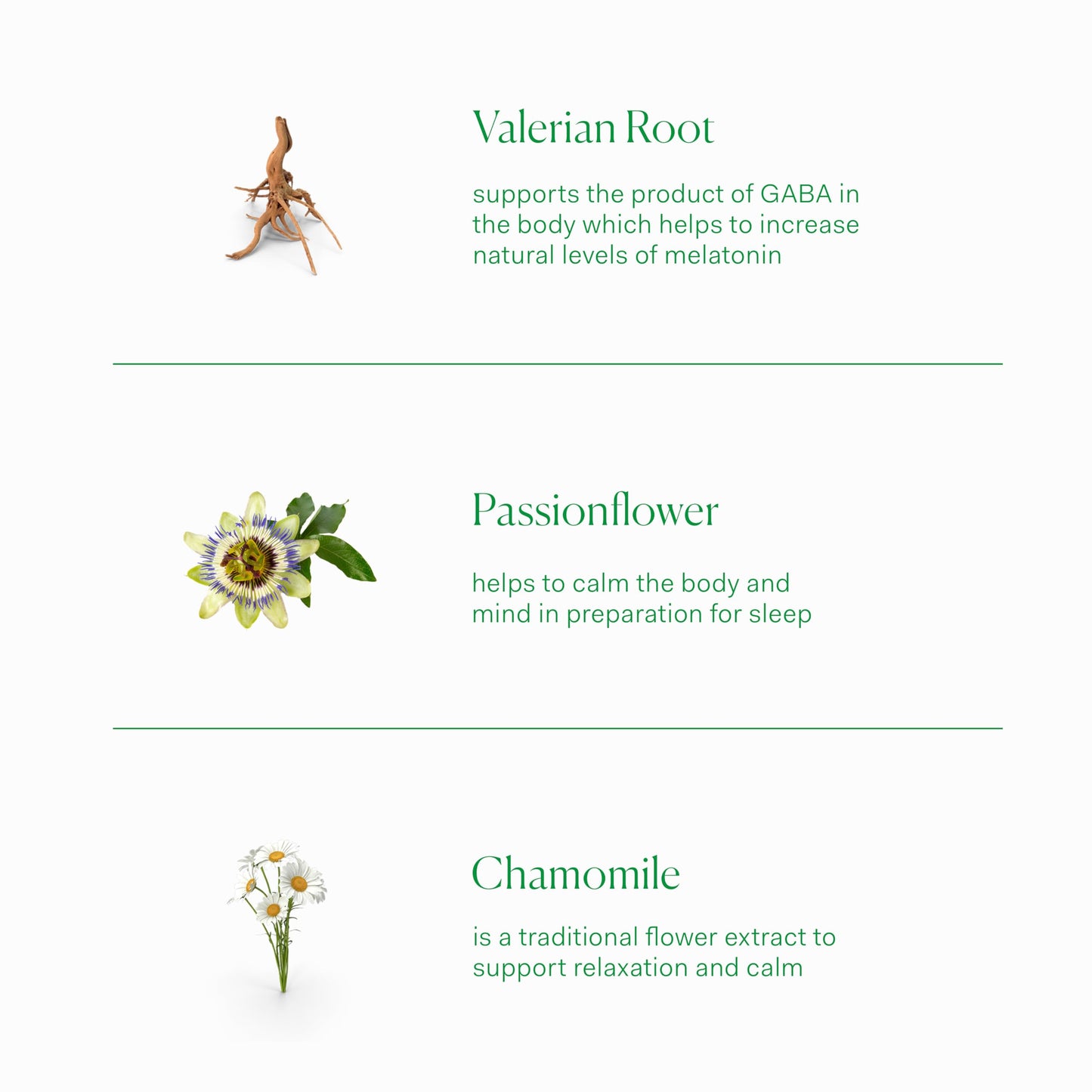 The Nue Co. Sleep Drops - Sleep Supplement | Vegan & Cruelty-Free