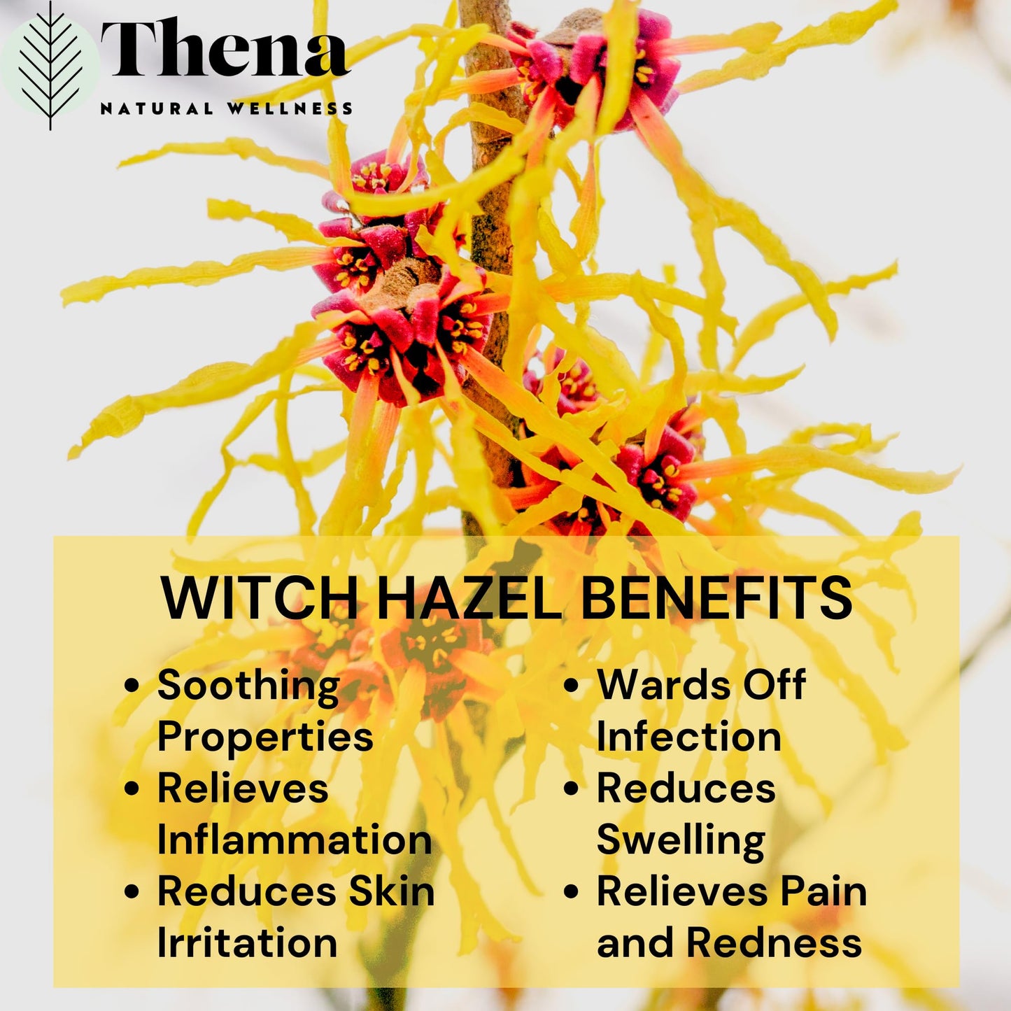 THENA Natural Wellness Intense Hemorrhoid Treatment: 100% Natural Cream & Fissure Ointment