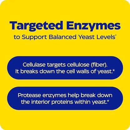 Enzymedica Candidase — Gentle Cleansing Enzymes for Gut Health, 120 Count BritishVita | Premium UK Vitamins & Wellness Supplements