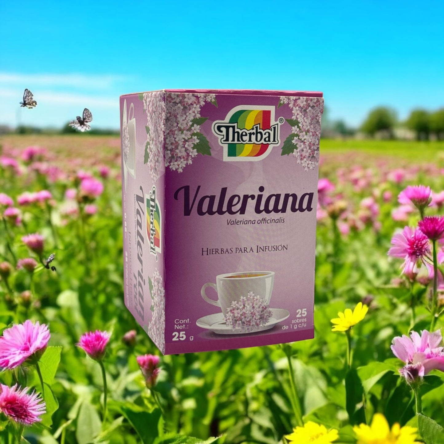 Valerian Root Tea – 25 Bags (1 g each) | 100% Natural, Caffeine-Free Herbal Tea | Té de Valeriana by Therbal