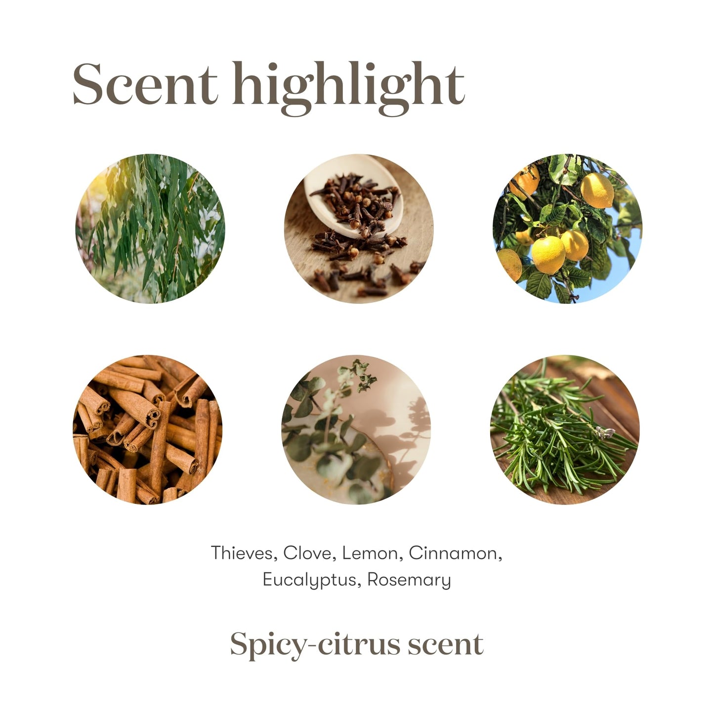 Thieves 5ml Essential Oil by Young Living Essential Oils | Immune Support & Cleaning