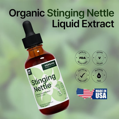 Stinging Nettle Leaf & Root Liquid Extract – Urinary & Kidney Support (2 oz) | Organic Urtica Dioica