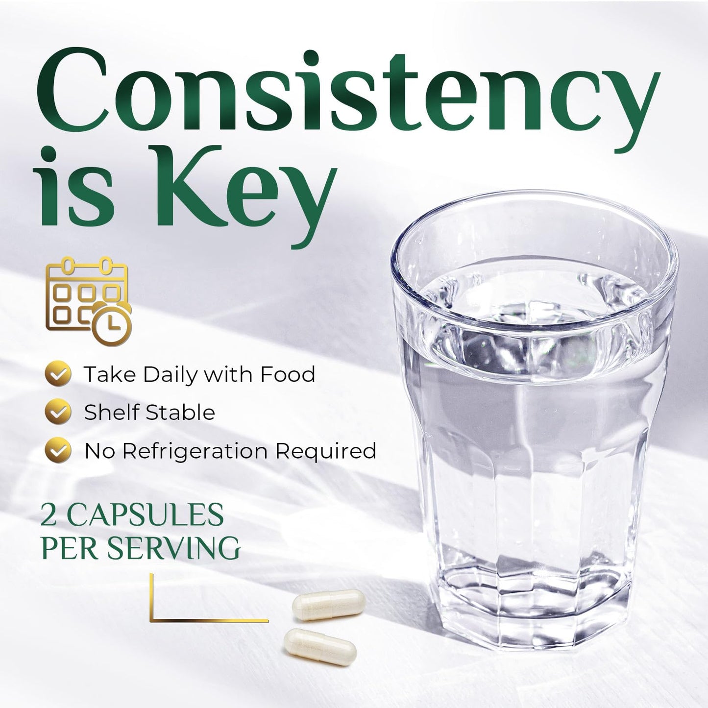 Akkermansia Probiotic 2B AFU | GLP-1 Support - 60 Capsules