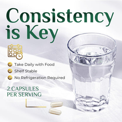Akkermansia Probiotic 2B AFU | GLP-1 Support - 60 Capsules