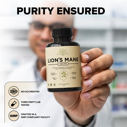 Lions Mane + Turkey Tail Capsules – 1200 Mg Lion's Mane, Non-GMO, 120 Caps | Nootropic Brain Support