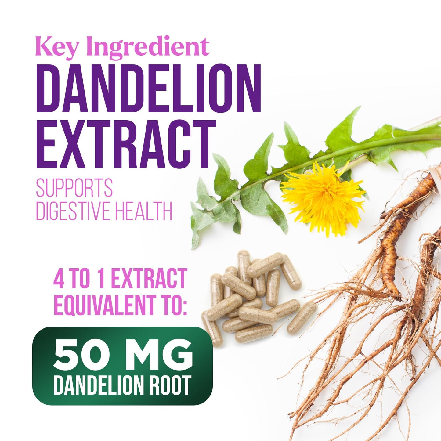 Milk Thistle Extract 1000mg - Liver Detox & Repair | 60 Capsules