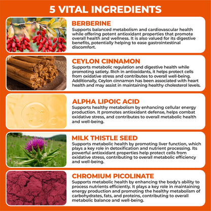 HerbaMe Berberine Metabolic Care – Cinnamon, Chromium & Alpha Lipoic Acid for Energy & Metabolism