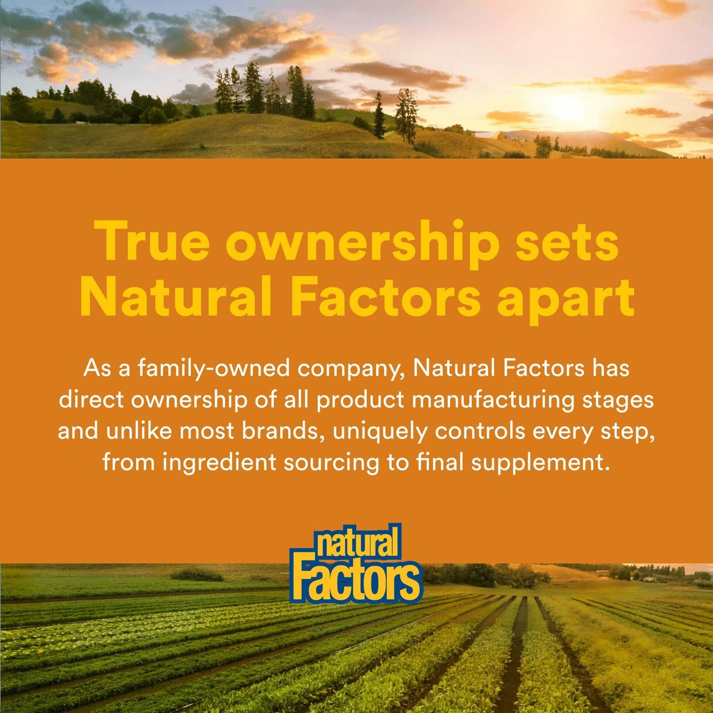 Natural Factors REGENERLIFE® 120 Capsules – Mitochondrial Support & Energy