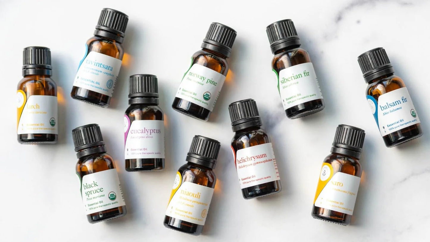 Aromatics International Norway Pine Essential Oil 5ml – 100% Pure & Organic