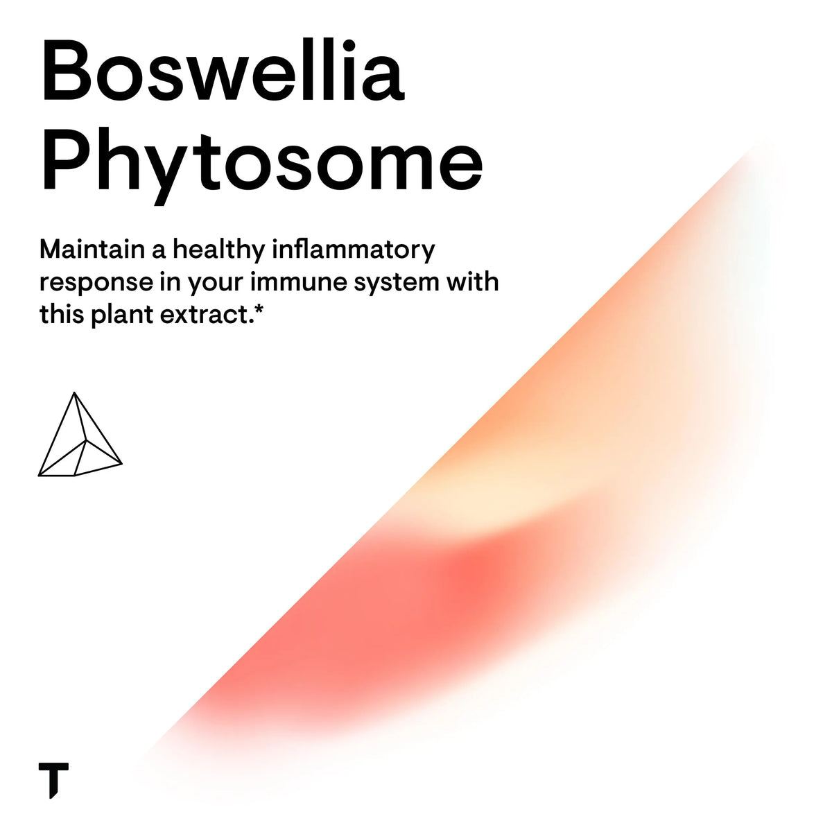 THORNE Boswellia Phytosome - Indian Frankincense (Boswellia Extract) Supplement - 60 Capsules BritishVita | Premium UK Vitamins & Wellness Supplements