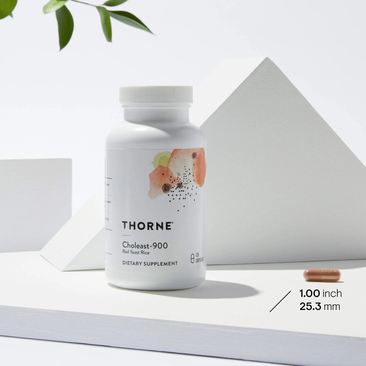 THORNE Red Yeast Rice 900mg – Gluten-Free Cholesterol Support Supplement | 120 Capsules BritishVita | Premium UK Vitamins & Wellness Supplements
