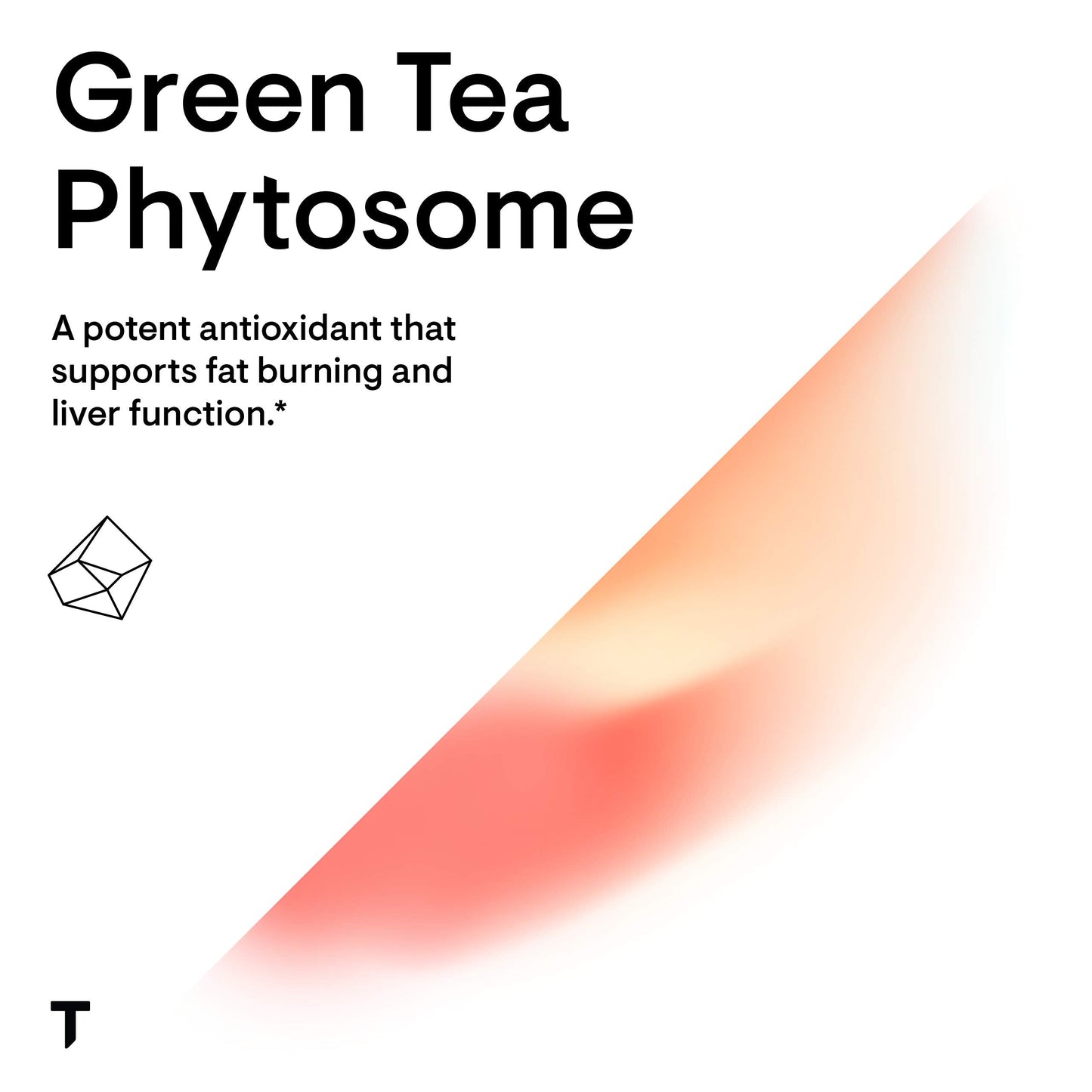 THORNE Green Tea Phytosome – Caffeine-Free Antioxidant, Liver Support, Metabolic Benefits • 60 Capsules