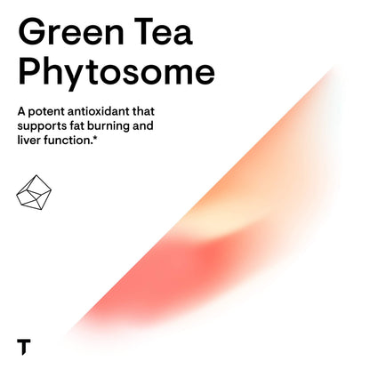 THORNE Green Tea Phytosome – Caffeine-Free Antioxidant, Liver Support, Metabolic Benefits • 60 Capsules
