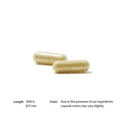 THORNE Pancreatic Enzymes (Dipan-9) – Digestive Support & Nutrient Absorption, 180 Capsules (90 Servings) BritishVita | Premium UK Vitamins & Wellness Supplements