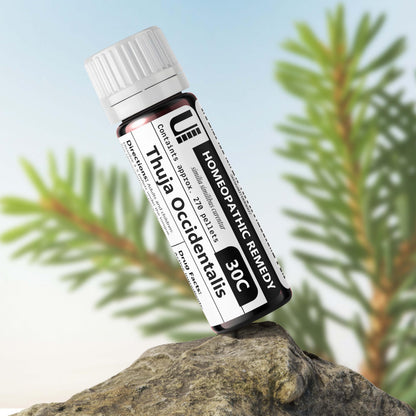 Thuja Occidentalis 30C Homeopathic Remedy – Urenus