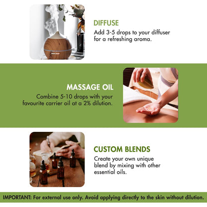 Majestic Pure Thyme Essential Oil – 4 Fl Oz, 100% Pure & Natural, Glass Dropper