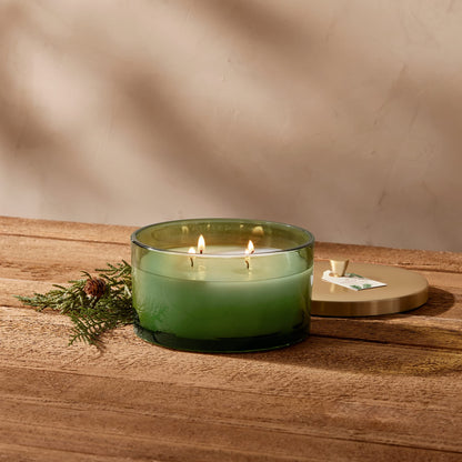 Thymes Frasier Fir Scented Candles – 4-Wick 21 oz | Luxury Home Fragrance Gift
