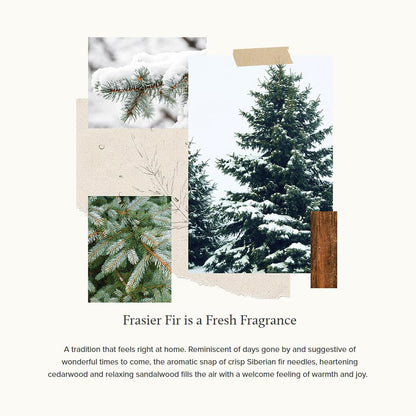 Thymes Frasier Fir Candle – Gilded Collection | Wood Grain Ceramic, 24K Gold Rim, 6 oz Petite
