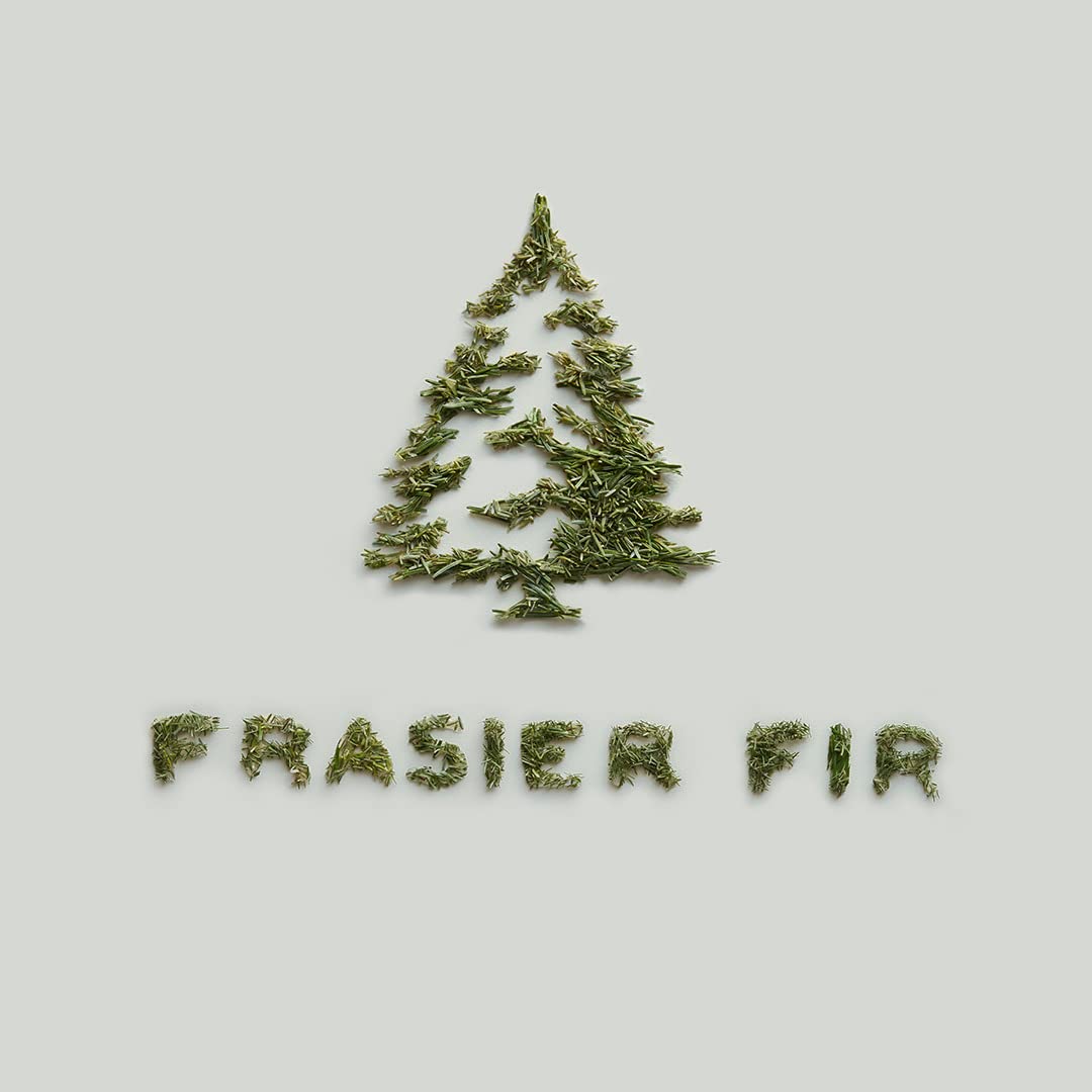 Thymes Frasier Fir Candle – Gilded Collection | Wood Grain Ceramic, 24K Gold Rim, 6 oz Petite