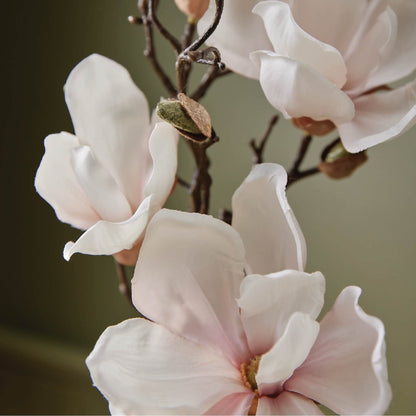 Thymes Magnolia Willow Fragrance Mist – 3.0 Oz | Home Fragrance