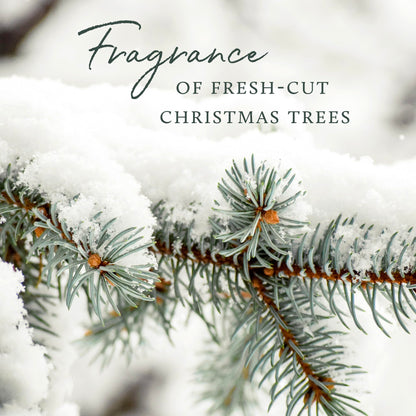 Thymes x Pura 4 Smart Diffuser Kit – Frasier Fir