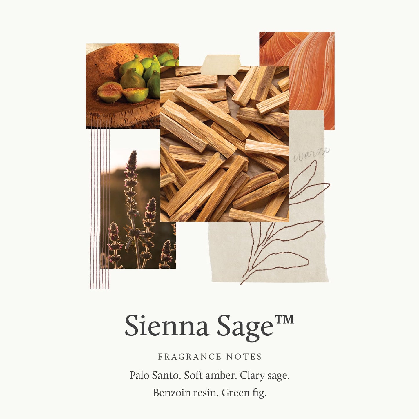 Thymes Sienna Sage Home Fragrance Mist (3.0 oz) | Luxury Room Spray - Natural, VOC Compliant