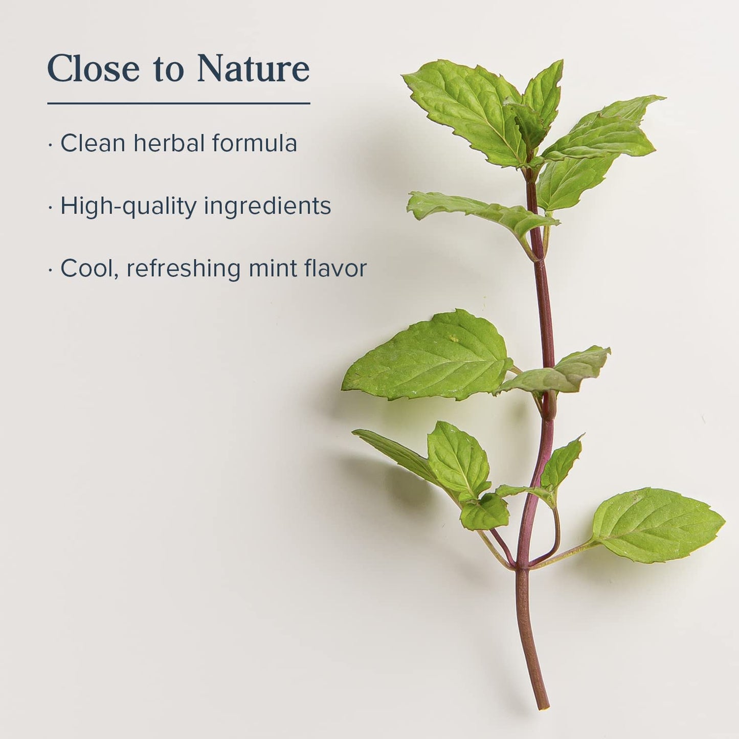 HERITAGE STORE Alka-Thyme Mouthwash - Alkaline Oral Care with Thymol & Eucalyptus - Cool Mint 16 FL OZ