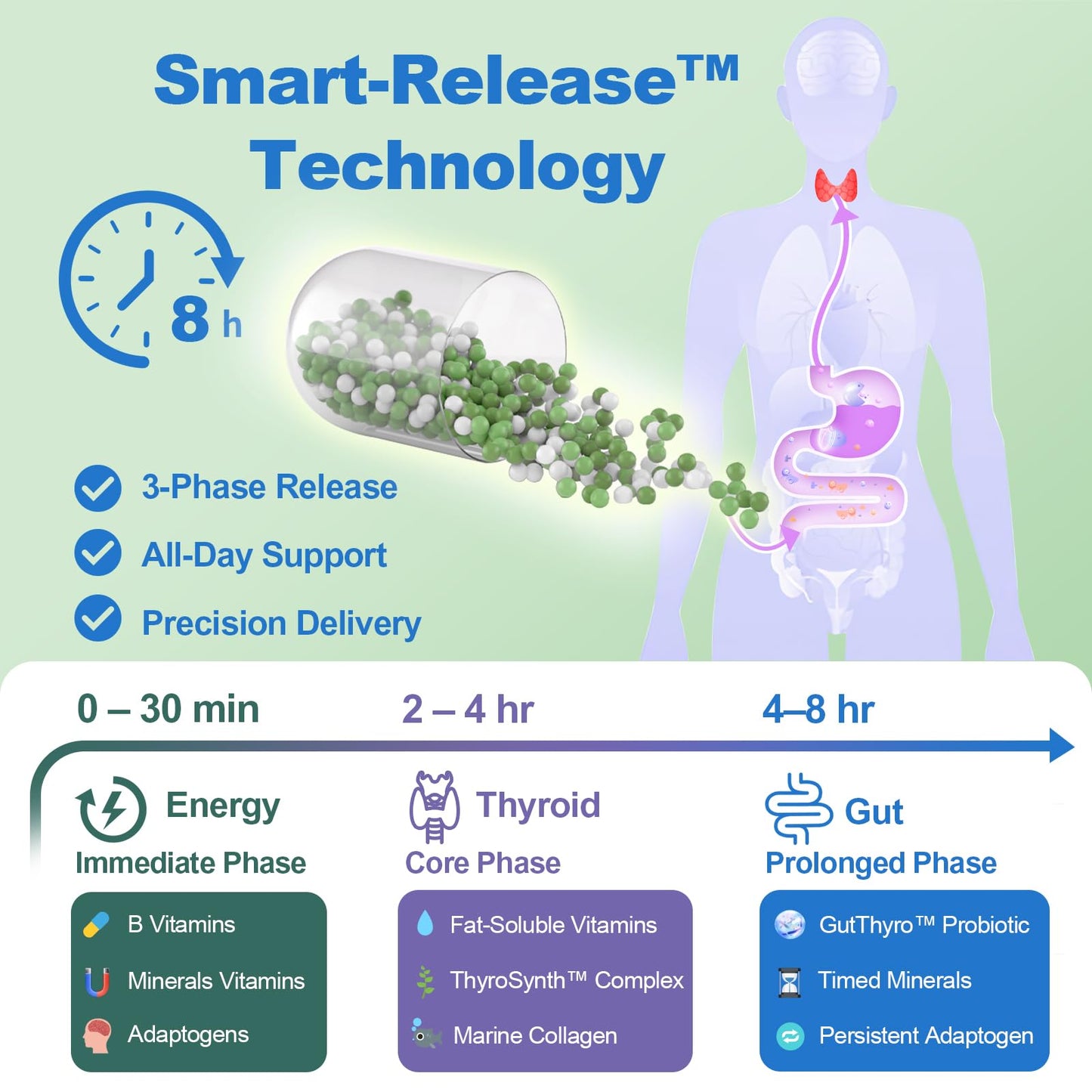 Thyroid Support Supplement for Women – 120 Capsules | Smart-Release Micro-Beads, ThyroSynth™ & GutThyro™