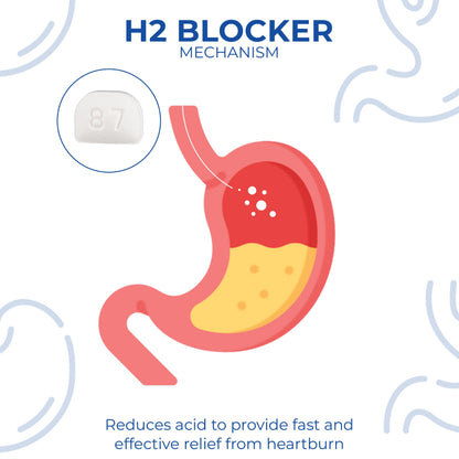 Timely Acid Reducer 20mg Famotidine – 200 Tablets | Heartburn Relief | TIME-CAP LABS, INC.