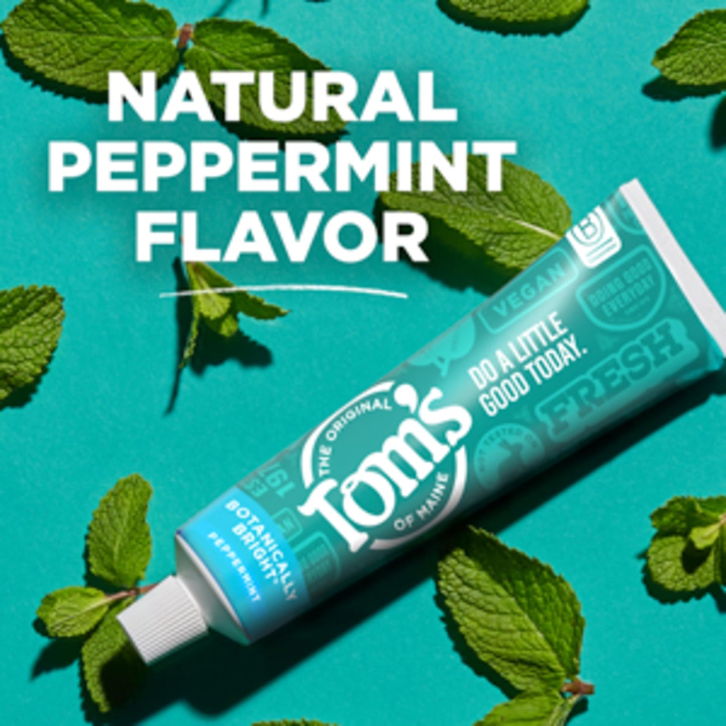 Tom’s of Maine Botanically Bright Fluoride Free Toothpaste – 3 Pack (4.0 oz each) – Vegan, SLS Free, Peppermint