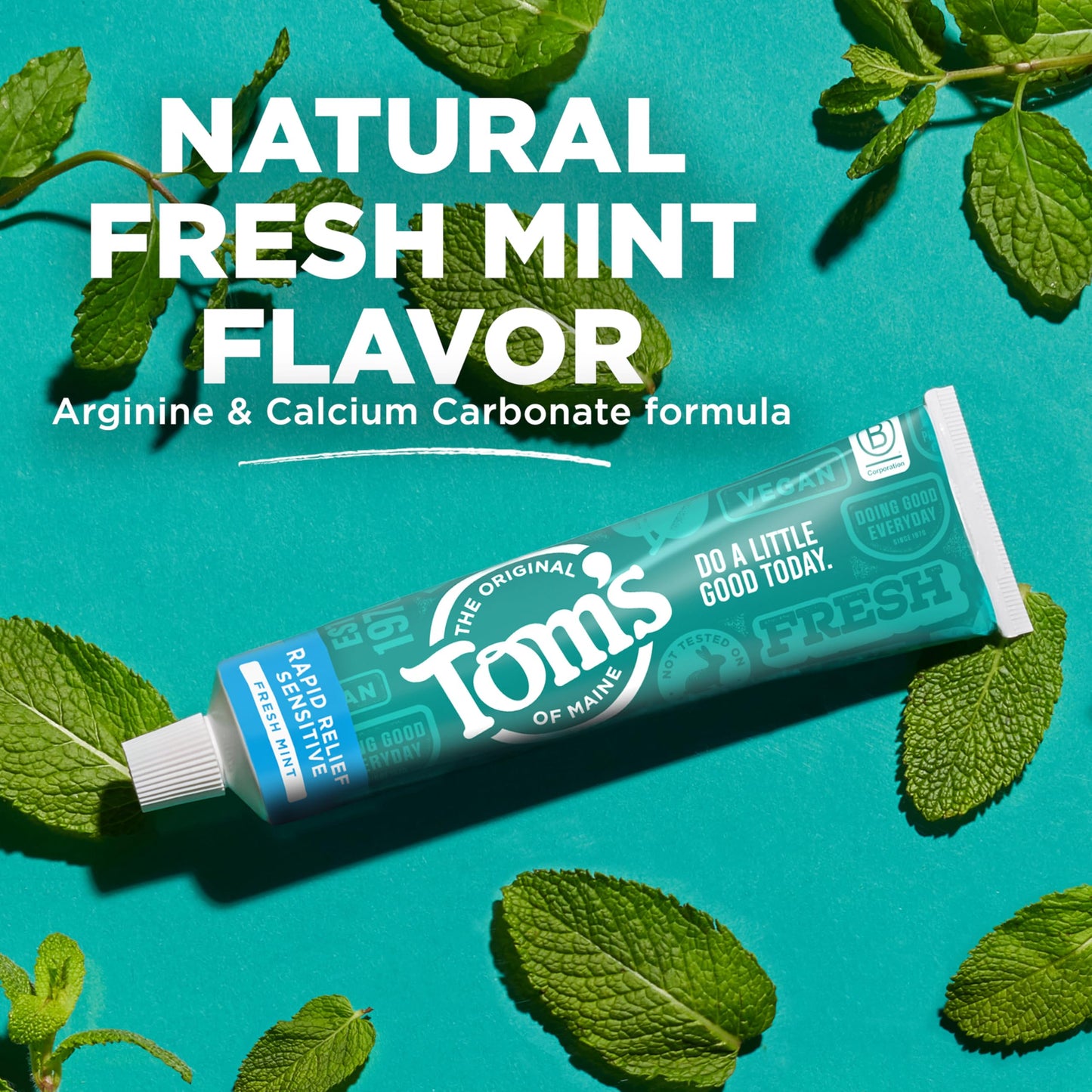 Tom's of Maine Fluoride-Free Rapid Relief Sensitive Toothpaste – Fresh Mint, 4 oz
