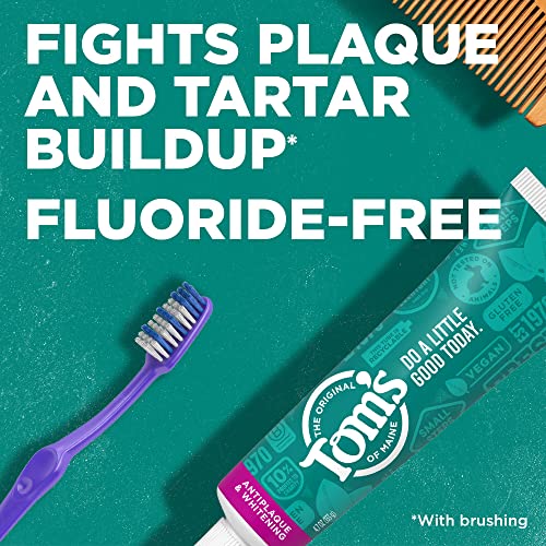 Tom's of Maine Fluoride-Free Antiplaque & Whitening Toothpaste – Spearmint, 5.5 oz (Pack of 2)