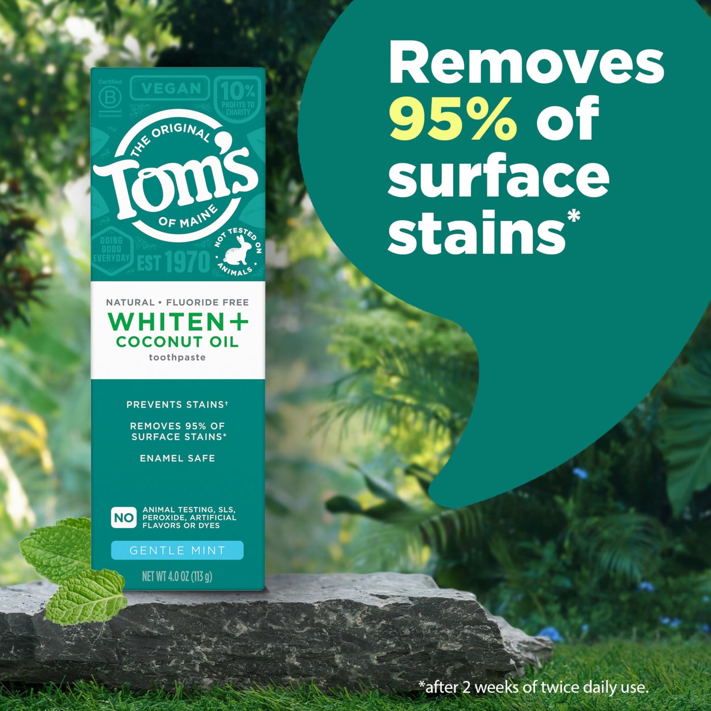 Tom’s of Maine Whiten Plus Coconut Oil Fluoride Free Toothpaste — Natural Whitening, Enamel Safe, Vegan, Gentle Mint, 4.0 Oz (Pack of 3)