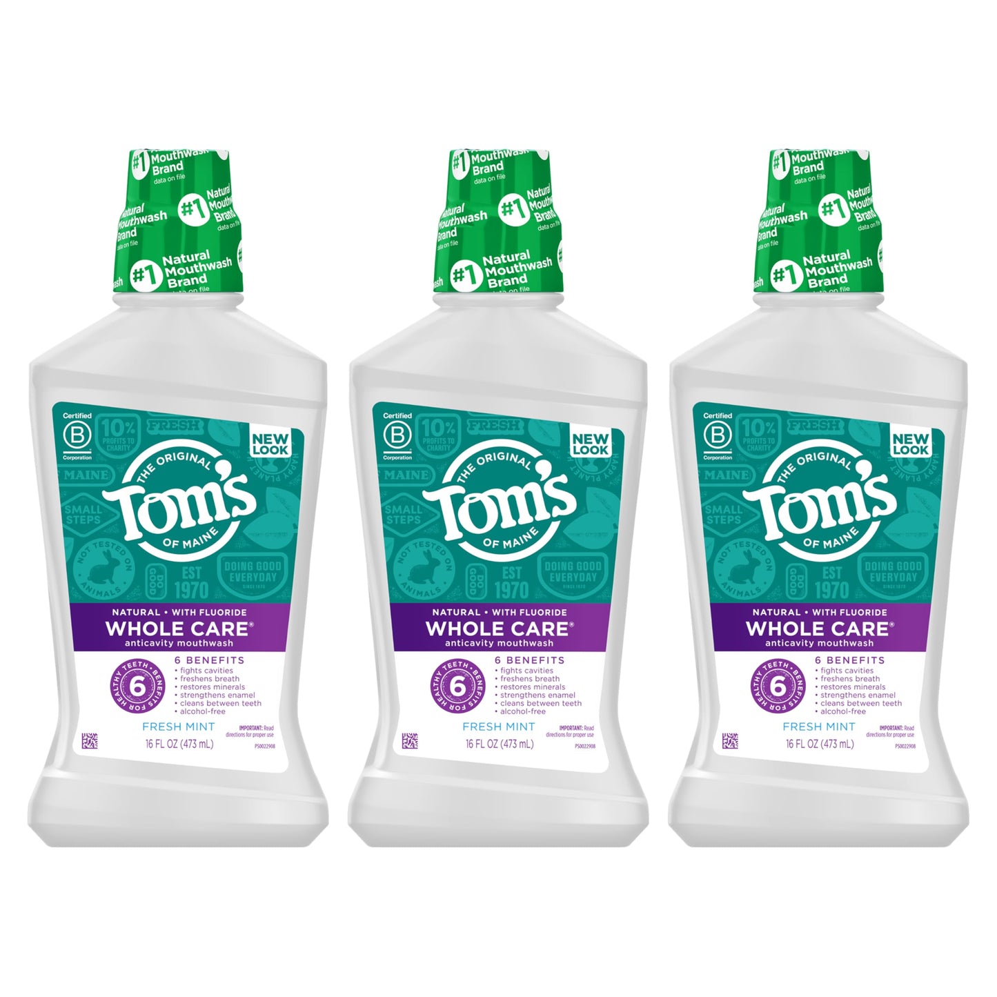 Tom's of Maine Whole Care Natural Mouthwash - Fresh Mint, 16 oz (Pack of 3)