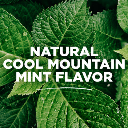 Tom's of Maine Wicked Fresh Natural Mouthwash – Alcohol-Free, Cool Mountain Mint, 16 oz (6-Pack) Packaging May Vary