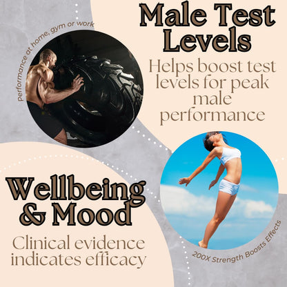 Research Labs Tongkat Ali Extract Capsules 200x — 200,000 mg | Strength, Drive & Performance
