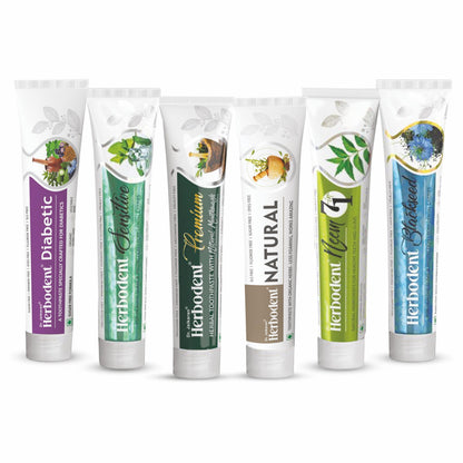 Amazing Toothpaste Mix Pack 3.53oz – Herbodent 7-in-1 Natural Toothpaste (6 Varieties)