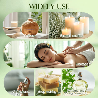 Top 12 Essential Oils Set - Pure Oils for Diffuser, DIY Projects & Gift