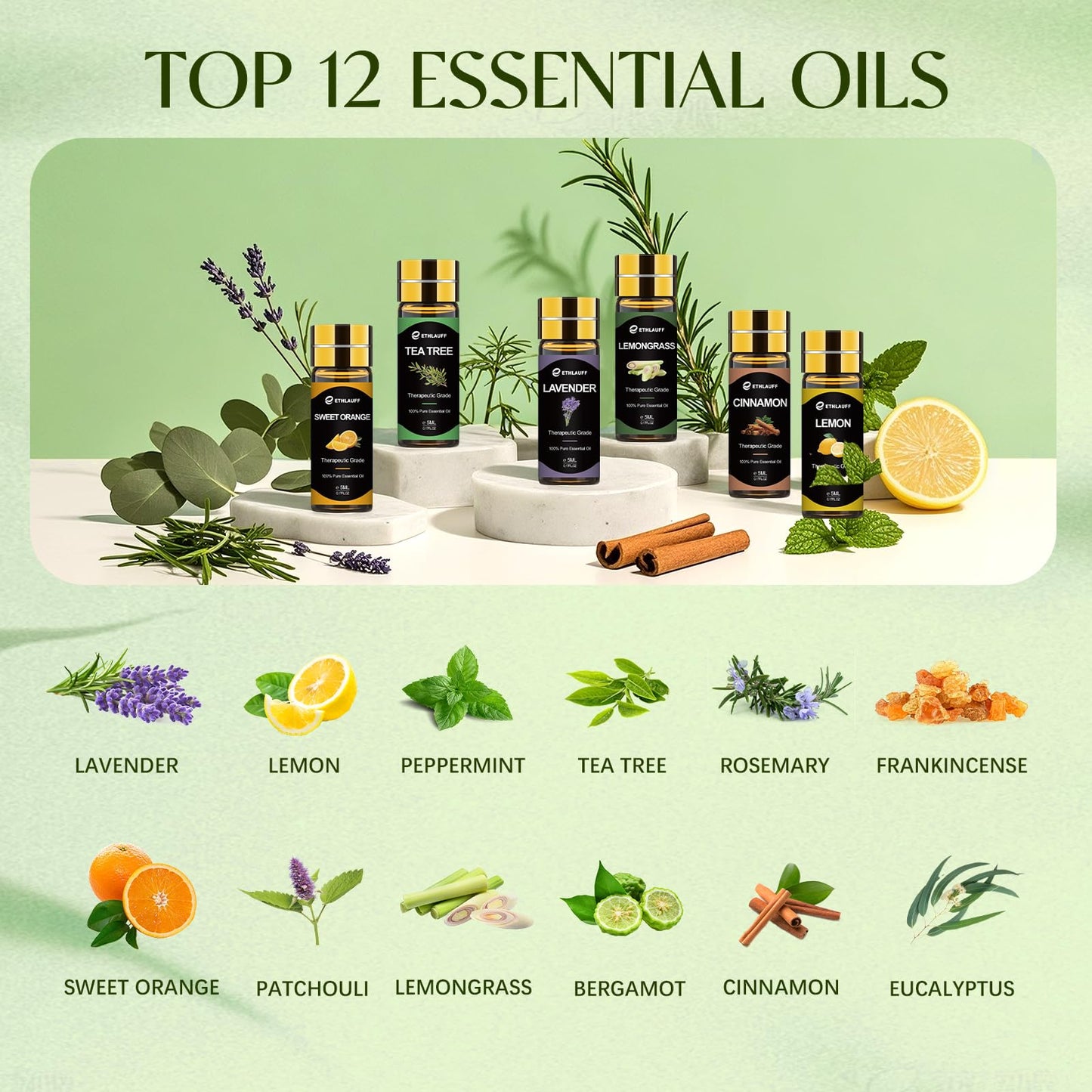 Top 12 Essential Oils Set - Pure Oils for Diffuser, DIY Projects & Gift