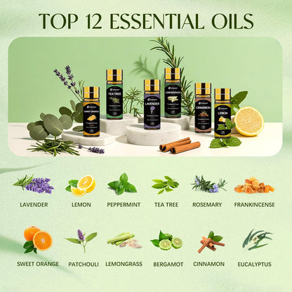 Top 12 Essential Oils Set - Pure Oils for Diffuser, DIY Projects & Gift