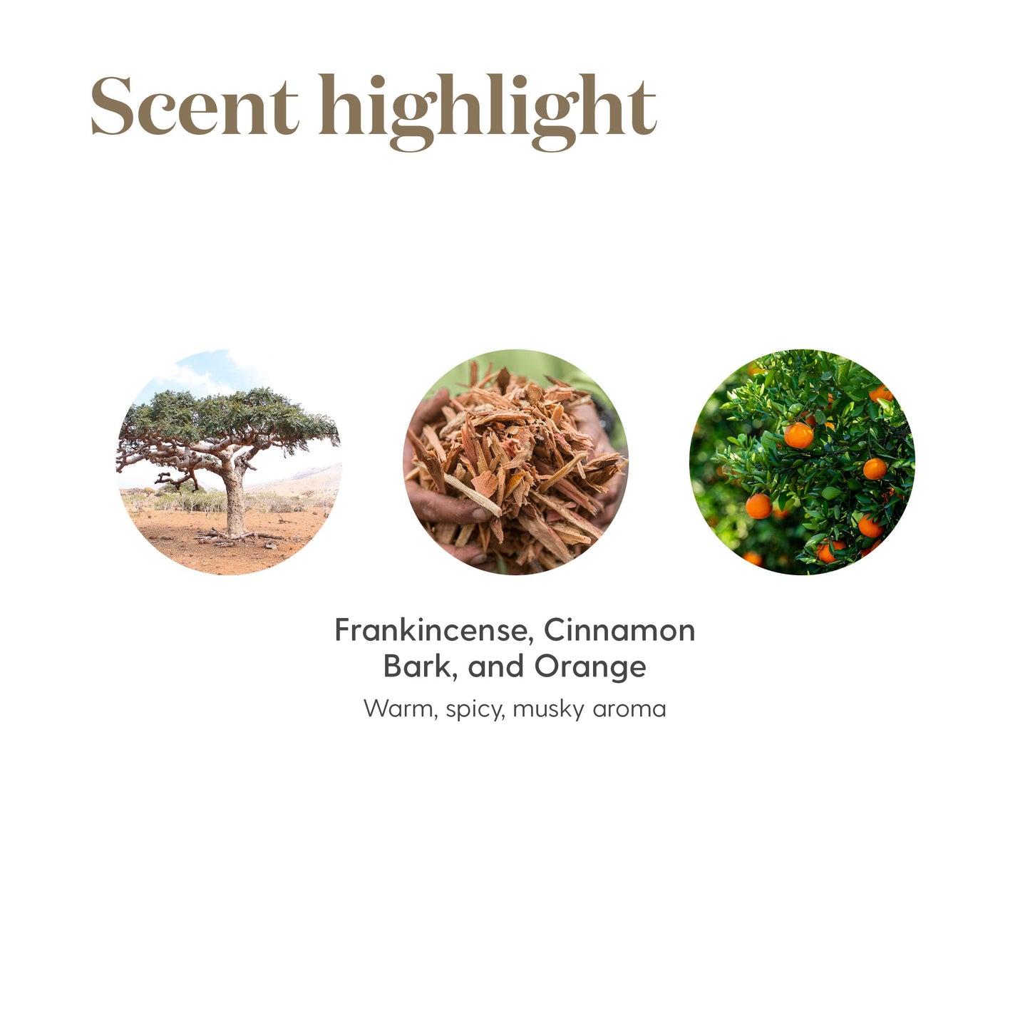 Young Living Abundance Essential Oil Blend 15 ml – Warm, Uplifting Aromatherapy