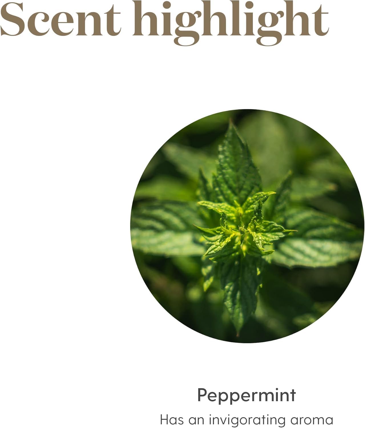 Young Living Peppermint Essential Oil 5 ml | Relaxation, Cooling & Digestive Support