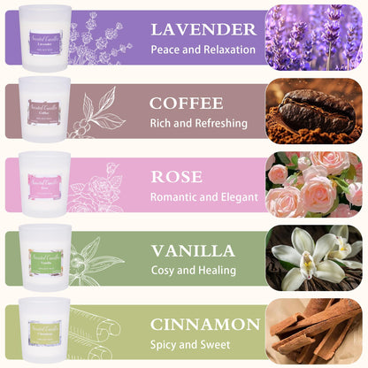 Toptime Candles Gift Set – 6 Pack Soy Aromatherapy Candles