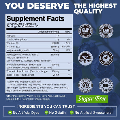 Totaria Sugar Free Ashwagandha Gummies 2500mg | Vitamin D3, Magnesium Glycinate, Rhodiola – Blueberry
