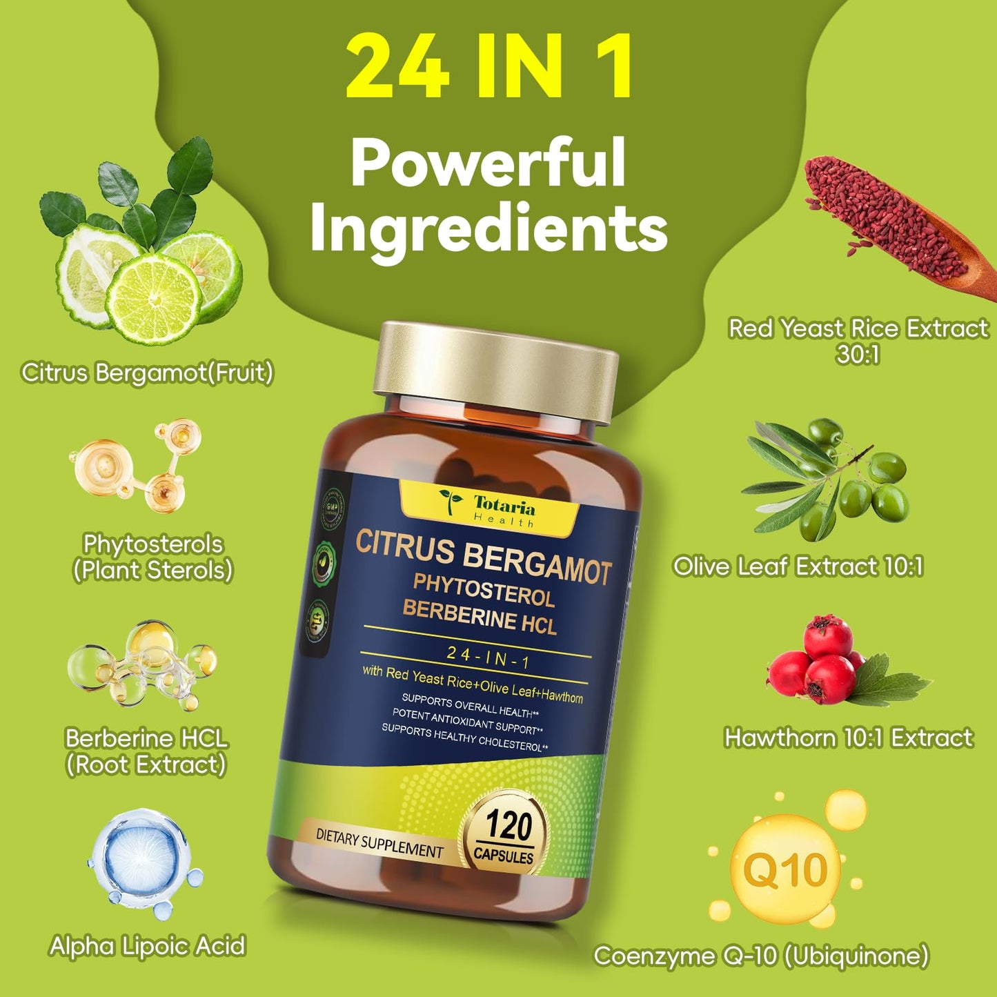 Totaria Citrus Bergamot Supplement for High Cholesterol | Italian Bergamot, Plant Sterols & Stanols | Vegan & Non-GMO | 120 Counts