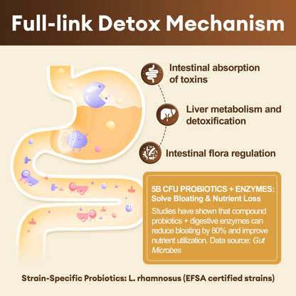 Totaria 2000MG All-in-1 Detox Binder | Liver & Gut Support