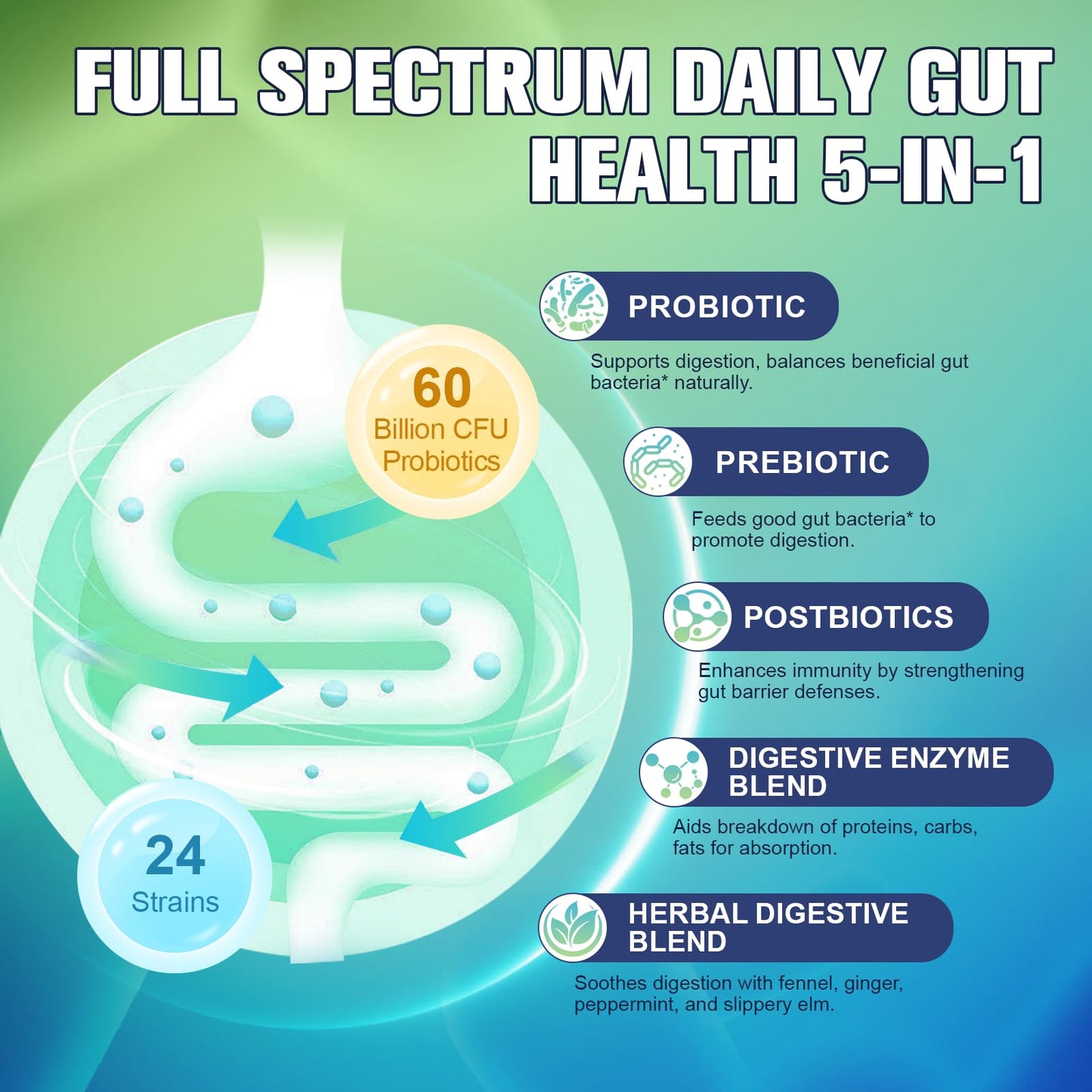 Totaria 5-in-1 Probiotic, Prebiotic & Postbiotic for Gut Health – 60B CFU, 4-Month Vegan Supply