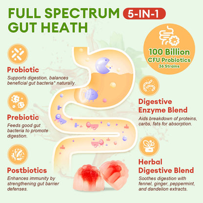 Totaria Sugar Free 5-in-1 Probiotic Gummies – 60 Count | Digestive & Immune Support | Vegan
